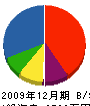 坂元工務店 貸借対照表 2009年12月期