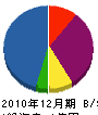 九州八紘産業 貸借対照表 2010年12月期
