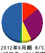 ヤマノウチスポーツ 貸借対照表 2012年6月期