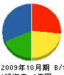藤井製材所 貸借対照表 2009年10月期