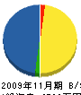 花ノ木組 貸借対照表 2009年11月期