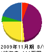 京葉電装 貸借対照表 2009年11月期