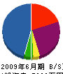 徳川工業 貸借対照表 2009年6月期