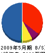 新日本テクノ 貸借対照表 2009年5月期
