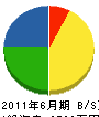 香川電気商会 貸借対照表 2011年6月期