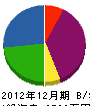 新井商店 貸借対照表 2012年12月期