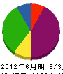 辻正電気 貸借対照表 2012年6月期