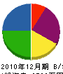 九州信技 貸借対照表 2010年12月期