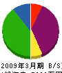 柳澤建設 貸借対照表 2009年3月期