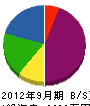 薩誠興業 貸借対照表 2012年9月期