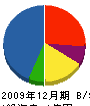 渡辺電工 貸借対照表 2009年12月期