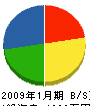 三栄道路 貸借対照表 2009年1月期