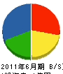 小泉電機工業 貸借対照表 2011年6月期