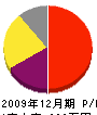 石川電工 損益計算書 2009年12月期