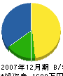塚島電機 貸借対照表 2007年12月期