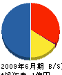 丸喜産業 貸借対照表 2009年6月期