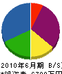 新川電気 貸借対照表 2010年6月期