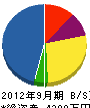 鶴田電気商会 貸借対照表 2012年9月期