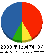 藤本住宅 貸借対照表 2009年12月期