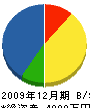 進栄工務店 貸借対照表 2009年12月期