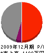 中本産業 損益計算書 2009年12月期