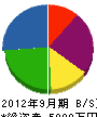 昭和レジン 貸借対照表 2012年9月期
