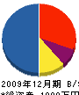 入江組 貸借対照表 2009年12月期