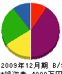 伊藤大工舎 貸借対照表 2009年12月期