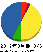 サヌキ技研 貸借対照表 2012年9月期