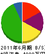 昭電工業 貸借対照表 2011年6月期