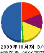 サンレイ工業 貸借対照表 2009年10月期
