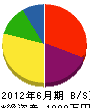 中沢電気商会 貸借対照表 2012年6月期