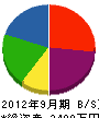 佐野電気 貸借対照表 2012年9月期
