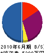 藤井工業 貸借対照表 2010年6月期