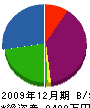 九州太陽電池工業 貸借対照表 2009年12月期