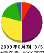 静岡サントクハウス 貸借対照表 2009年6月期