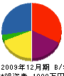 嶋内工務店 貸借対照表 2009年12月期
