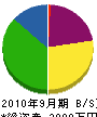 ニュープラン永井組 貸借対照表 2010年9月期