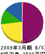 ノース・ジャパン 貸借対照表 2009年3月期