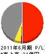 東日本ダイワ 損益計算書 2011年6月期