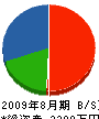 齋藤鉄工所 貸借対照表 2009年8月期