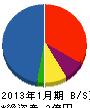 柳澤電機 貸借対照表 2013年1月期