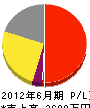 駒井電気工業 損益計算書 2012年6月期