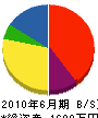 坂本電気商会 貸借対照表 2010年6月期
