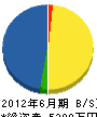 志井総合建設 貸借対照表 2012年6月期