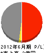 松坂産業 損益計算書 2012年6月期