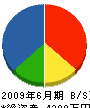 神奈川工業 貸借対照表 2009年6月期