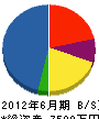 石村電気商会 貸借対照表 2012年6月期