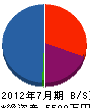 櫻井塗装工業所 貸借対照表 2012年7月期