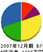 田上電業 貸借対照表 2007年12月期